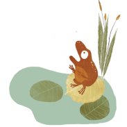 Le Cri de la Grenouille