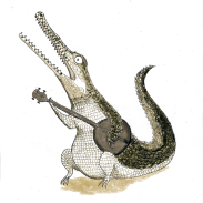 crocodile